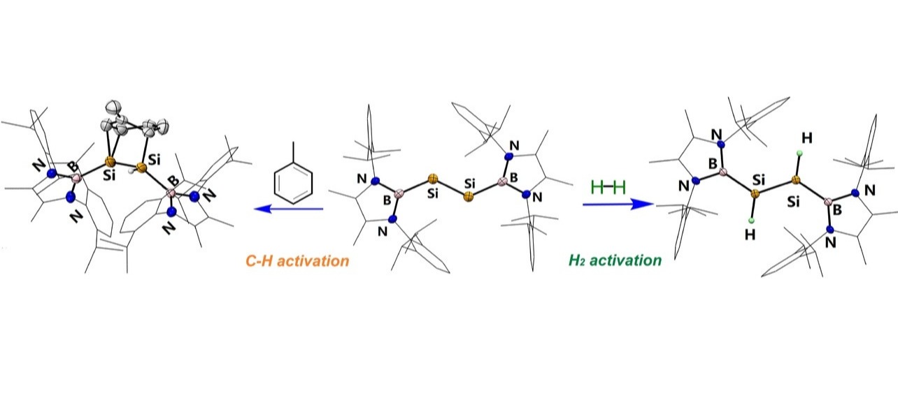 Synthesis of an N-Heterocylic Boryl-Stabilized Disilyne and Its Application to the Activation of Dihydrogen and C−H Bonds
